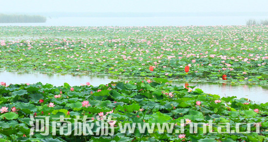 7��22�ջ�������p�ɻ����λ������ʽ�_Ļ