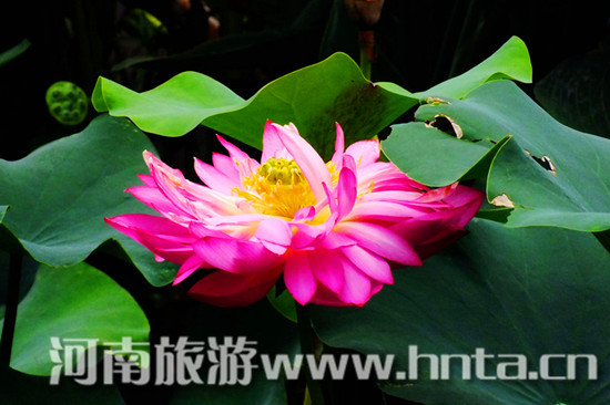 7��22�ջ�������p�ɻ����λ������ʽ�_Ļ