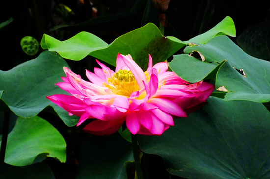 ����ɏ�~�o(w��)�F�� ��ԭ�ɻ����ƴ 