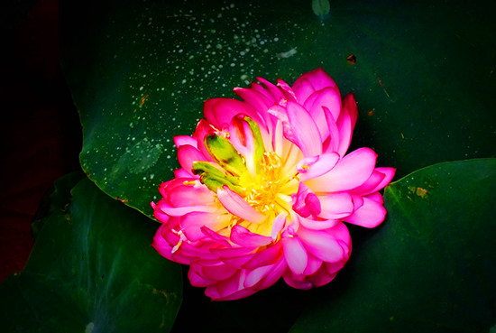 ����ɏ�~�o�F�� ��ԭ�ɻ����