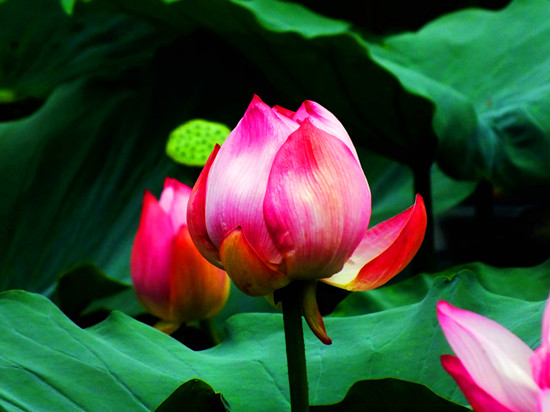 ����ɏ�~�o�F�� ��ԭ�ɻ����