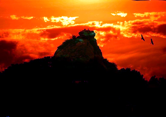 �������� ����ٵ����(y��ng)�u��ɽ֧&ldquo;������&rdquo;