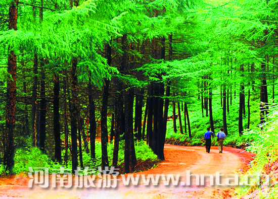 �@��(g��)���ڄe�e�� ���Ͼ��^(q��)ʮ�����]