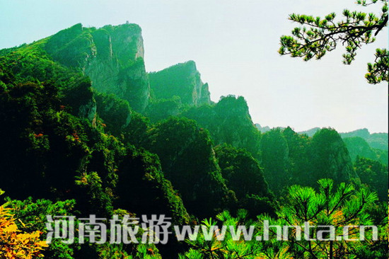 ����������ɭ�ֹ��@ 