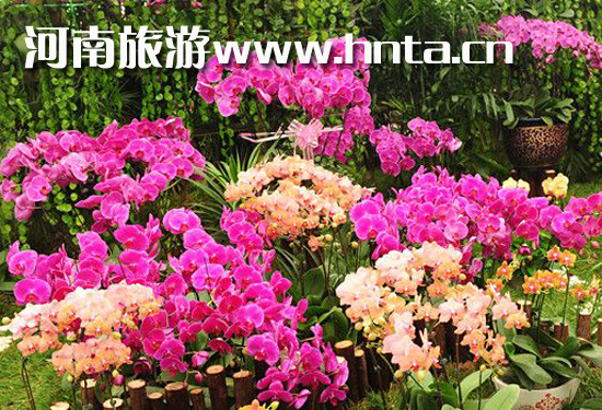 �@��(g��)��Ϧȥ���� ��Ϧ�����������]