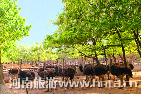 ����ơ���r�B�@������(ji��)ʢ���_Ļ