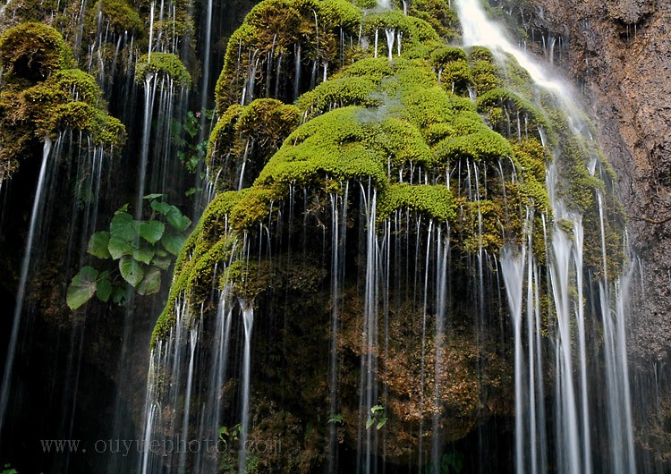 �����^�� ������΃�(y��u)������(d��ng)�r