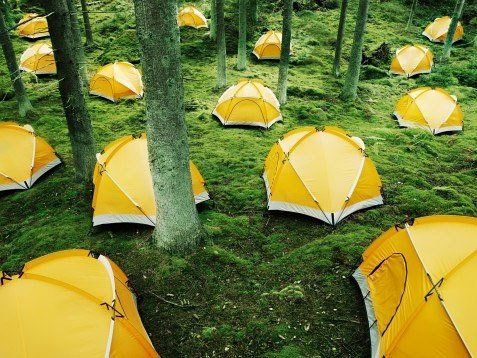 ���ː�(��i)���������� ʡ��(n��i)��Ϧ�G�����е����]