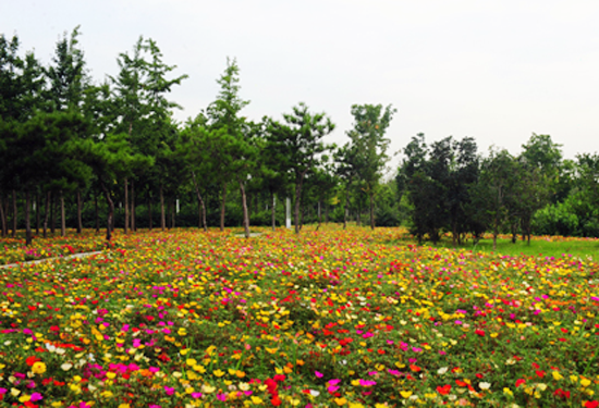 ���������� �G���@��(l��i)����̫�(y��ng)����