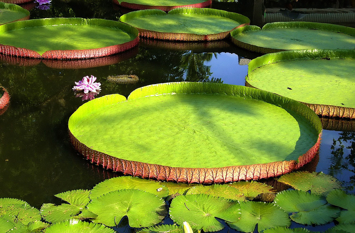 ���Gɽ���@��ɏ�_(k��i)���� ��ȥ���ư�