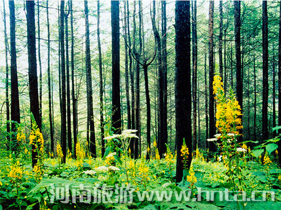 ������������(ji��)�_Ļ