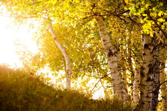 ץס�����β�� ʡ��(n��i)�����]