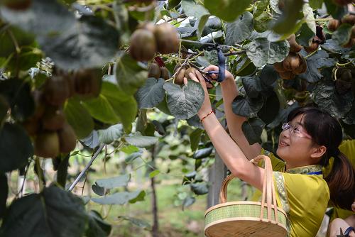 ץס�����β�� ʡ��(n��i)�����]