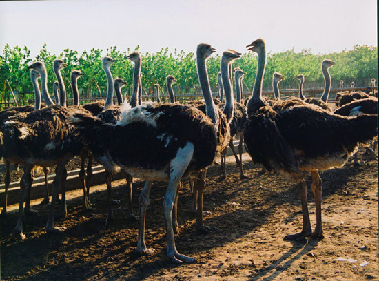 ӭ���������c �r�B�@���N��ӵ����