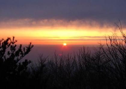 ������cȥ���� 2013��������(n��i)�������]����