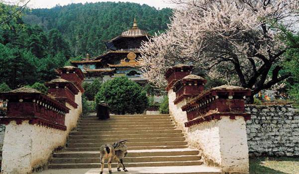 �����(gu��)�cȥ���� 2013��(gu��)��(n��i)�����������]����