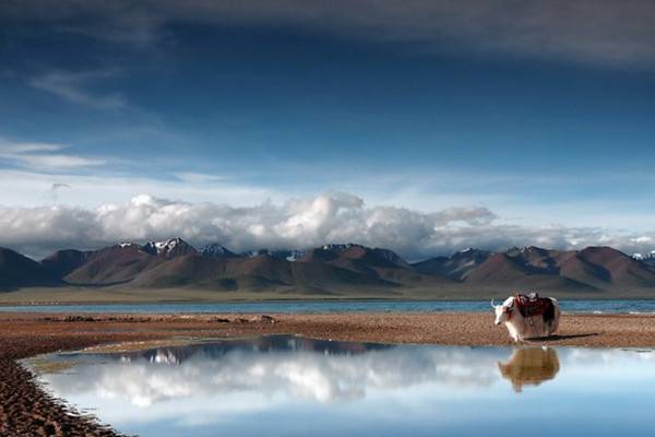 �����(gu��)�cȥ���� 2013��(gu��)��(n��i)�����������]����