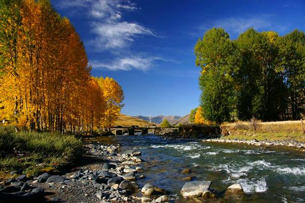 �����(gu��)�cȥ���� 2013��(gu��)��(n��i)�����������]����