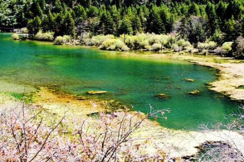 �����(gu��)�c�����˳� ��(gu��)��(n��i)&ldquo;���T&rdquo;�������c(di��n)���]