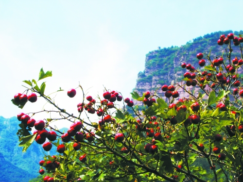 ���˽��� �����f��ɽ