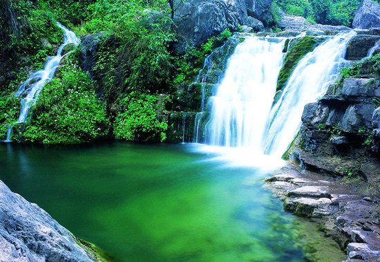 �����s�@2013����Ї����θ������ُ����зQ̖