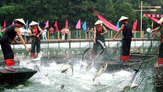 �޾W(w��ng)���~��ʮһ���Ϟ��������@ô��