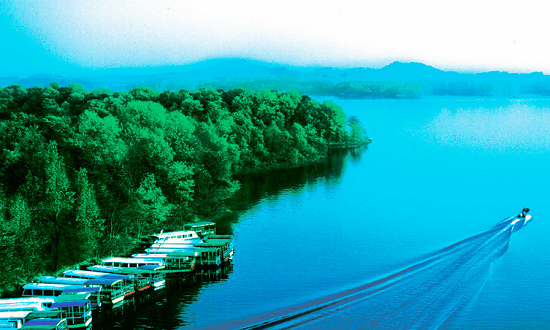 �޾W(w��ng)���~��ʮһ���Ϟ��������@ô��