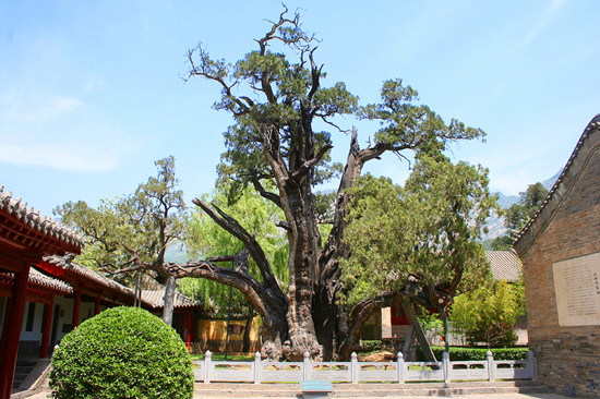 �����L(zh��ng)�������� ��ԭ������(d��)�I(l��ng)�L(f��ng)�}