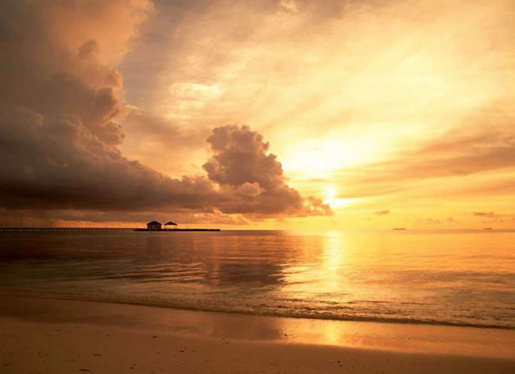 ���c���α؂䌚�������ΰ�ȫ����ָ��