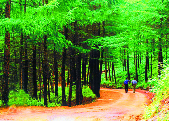 ��(gu��)�c���� �����e(cu��)�^(gu��)����ɫ����