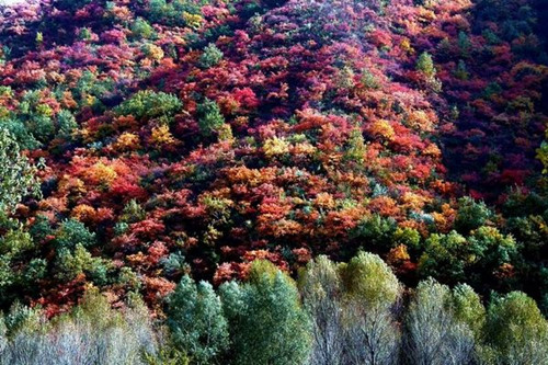 ԥ����{���׌����{&ldquo;�����^�ٹ�(ji��)&rdquo;ʮһ�����_(k��i)Ļ