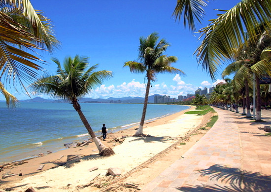 ��(gu��)�c׌�҂�һ����l(f��)�� ��(gu��)��(n��i)7�l����^�⾀·