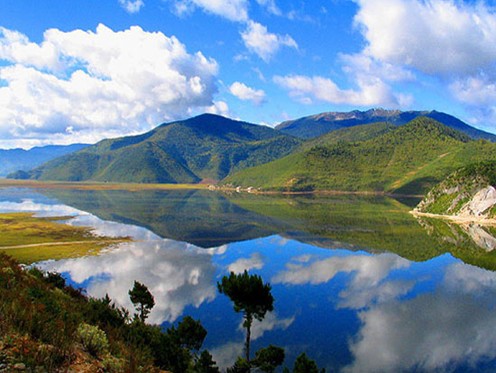 ���c׌�҂�һ����l(f��)�� ����(n��i)7�l����^�⾀·