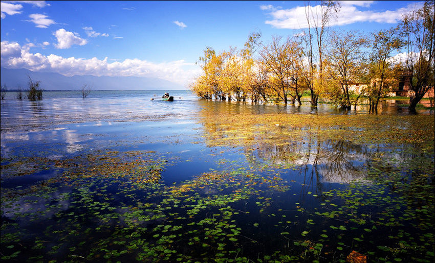 2013ʮһ��(gu��)�c���� ��(gu��)��(n��i)10��(g��)�Ĳ�׌��ʧ���ĺõط�