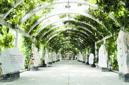 ӭ&ldquo;ʮһ&rdquo;�S���ܡ����ݾ��^(q��)���ʼ��ʃ�(y��u)�ݶ�