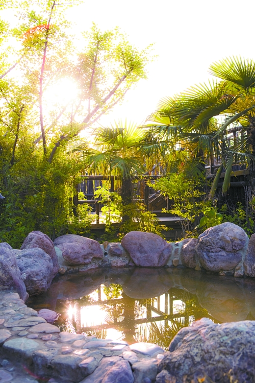 �＾���������� ��������Ȫ��ˮ