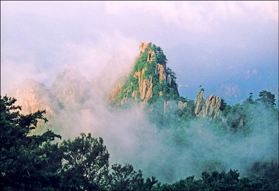 �̎���(ji��)��ɽ���f������M��