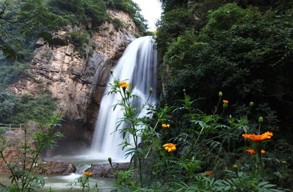 �������� �����ɫ�č{�����]