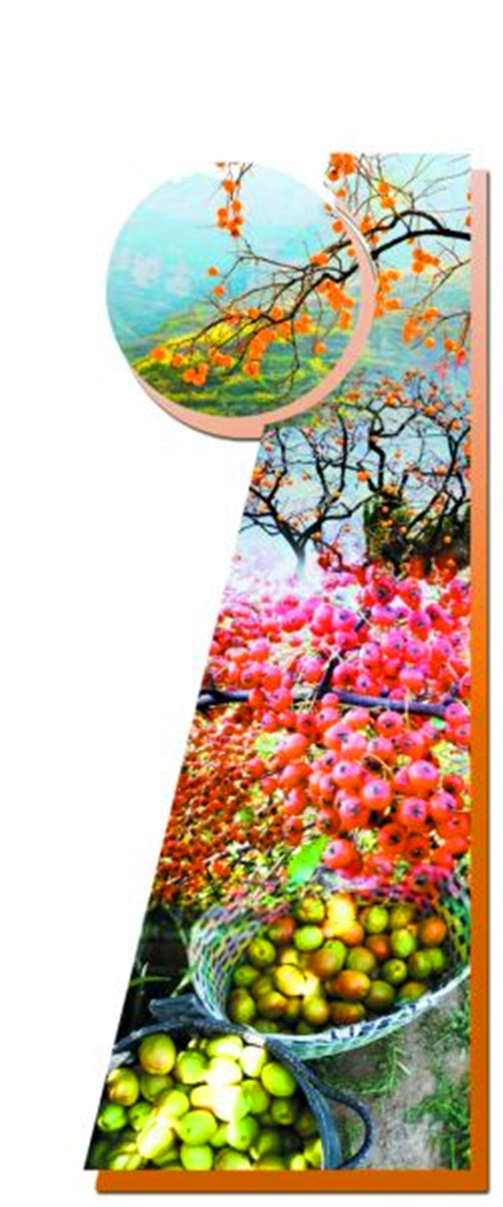 ����Ϲ���ժ�� ��ĩ������(l��i)����