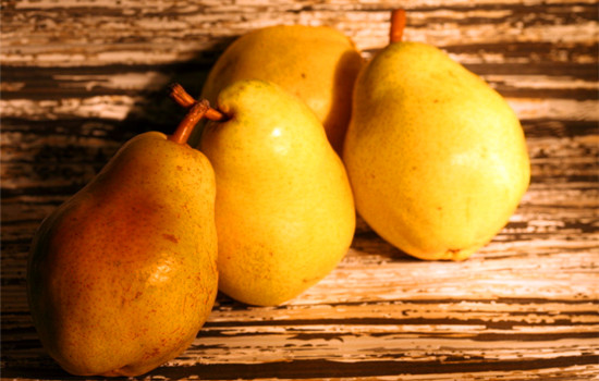 ����Ϲ���ժ�� ��ĩ����������