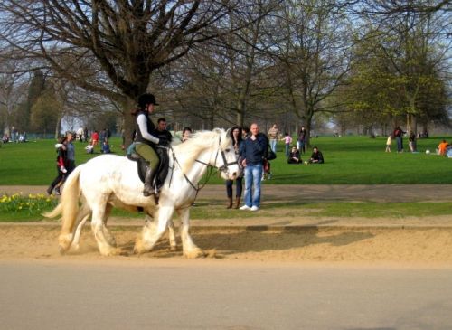 �R��С�R���cæ ������Щ&ldquo;�R����&rdquo;���L��