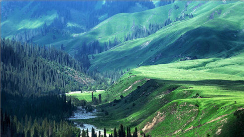 �R��С�R���c(di��n)æ ��(x��)����Щ&ldquo;�R����&rdquo;���L(f��ng)��