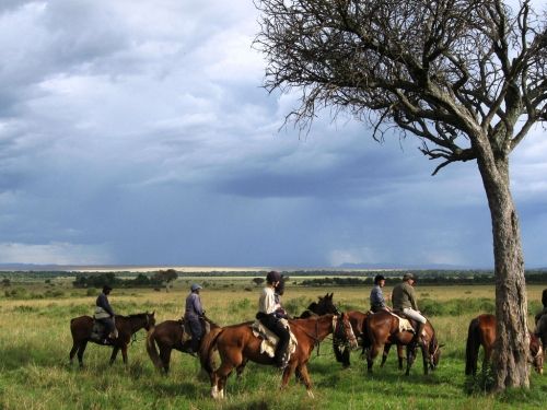 �R��С�R���c(di��n)æ ��(x��)����Щ&ldquo;�R����&rdquo;���L(f��ng)��