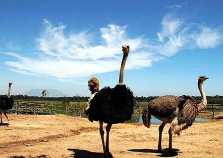 ����(ji��)ȥ�ă������ε؈D���V����