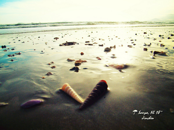 ������(sh��)�����ι��� �p�����昷�_��