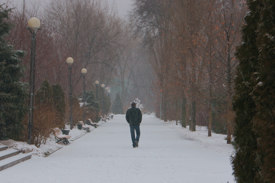 ���ο���� δ����������M(j��n)����ѩģʽ