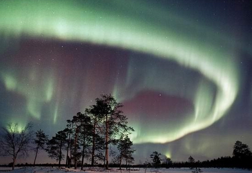 2014��������ƶ��Լ�������Ӌ(j��)��