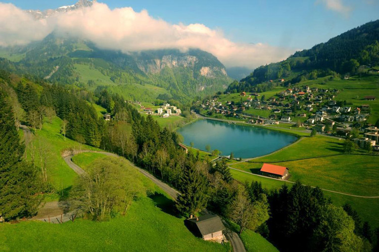 2014��������ƶ��Լ�������Ӌ��