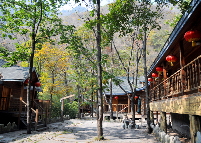 ��ʡ���{��ţɽ�Ͻ�X&bull;�����zַ�@���΅^(q��)�s�ߣ�����