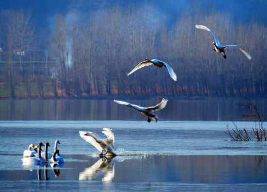 2014����(ji��)���� �����Ĵ󾰅^(q��)����һ���m����